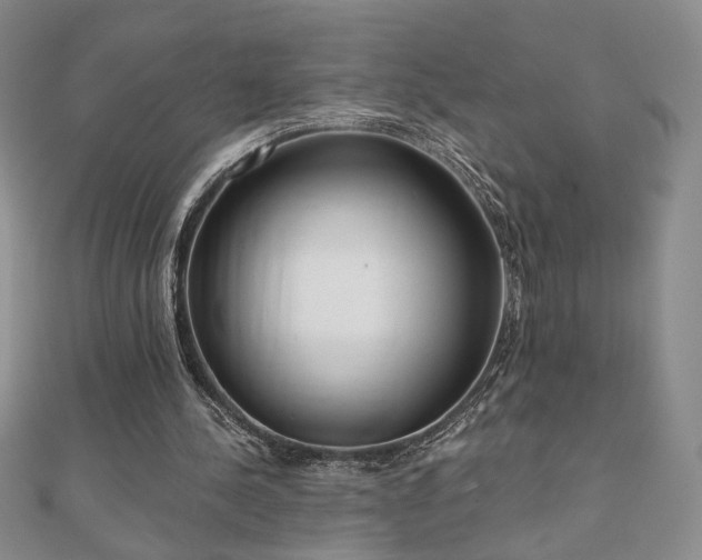 X0000110860244200906181147
