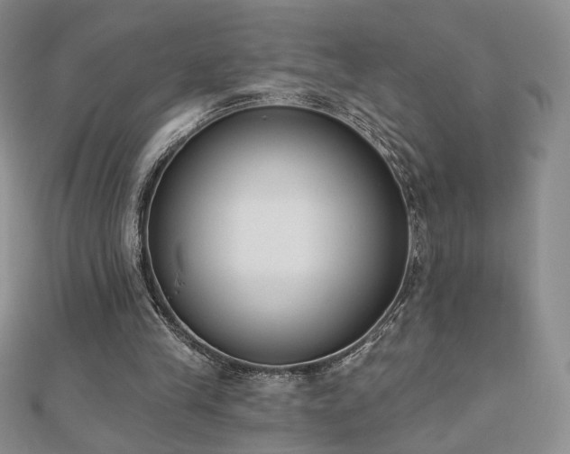 X0000110860245200906181147