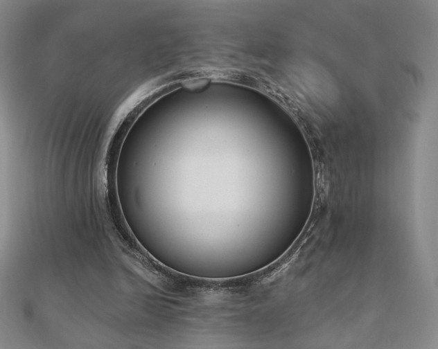 X0000110860246200906181147