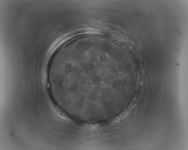 X0000110860247200906181147
