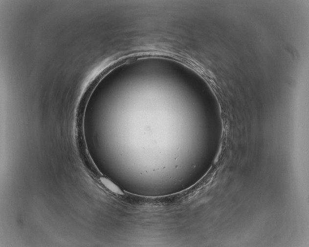 X0000110860248200906181147