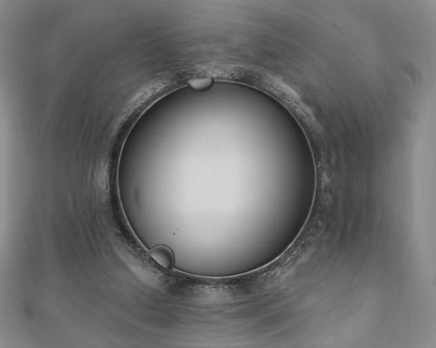 X0000110860250200906181147