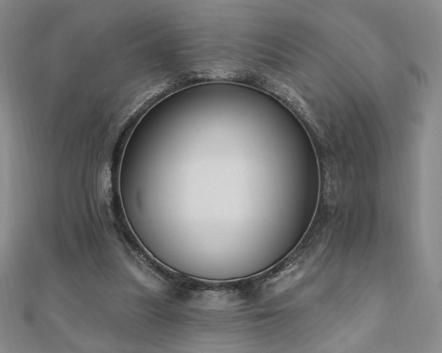 X0000110860251200906181147