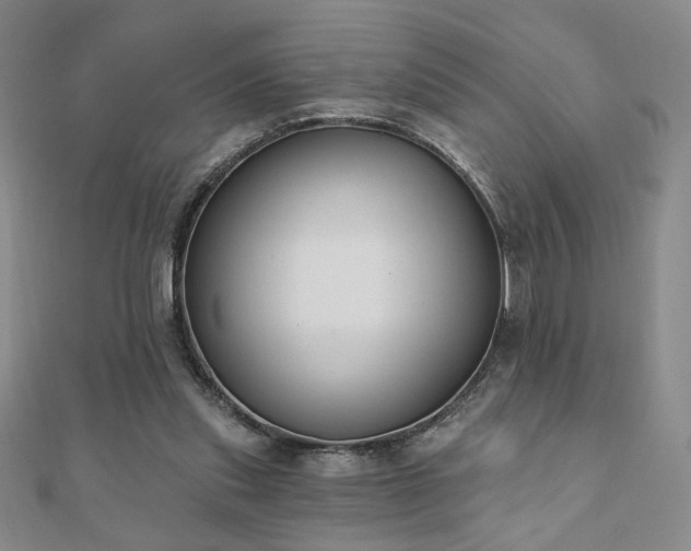 X0000110860253200906181147