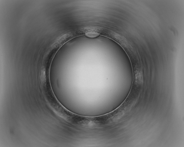 X0000110860254200906181147
