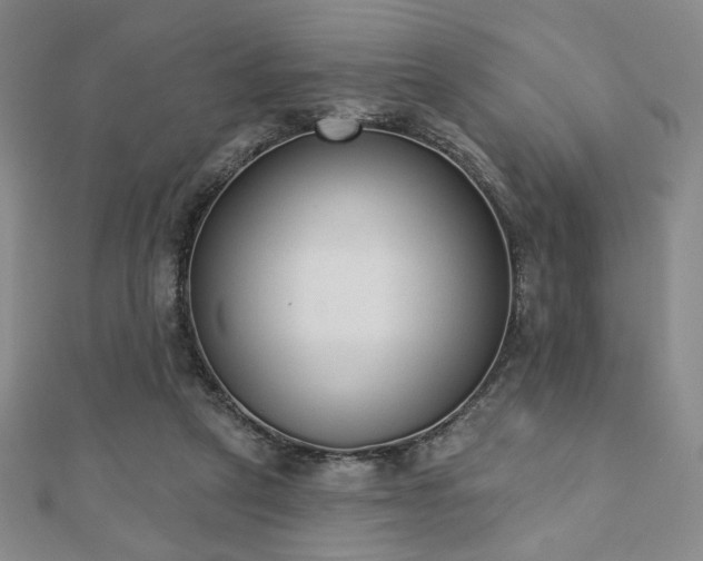 X0000110860257200906181147