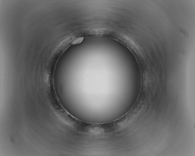 X0000110860258200906181147
