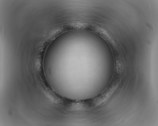 X0000110860259200906181147