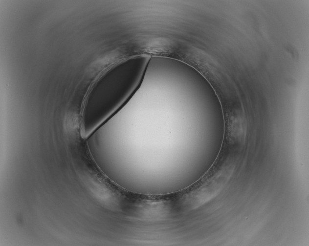 X0000110860260200906181147