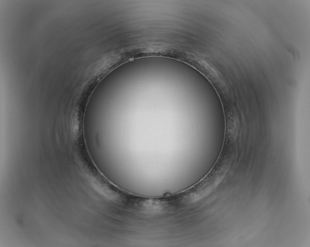 X0000110860261200906181147