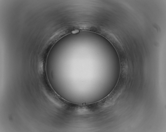 X0000110860262200906181147