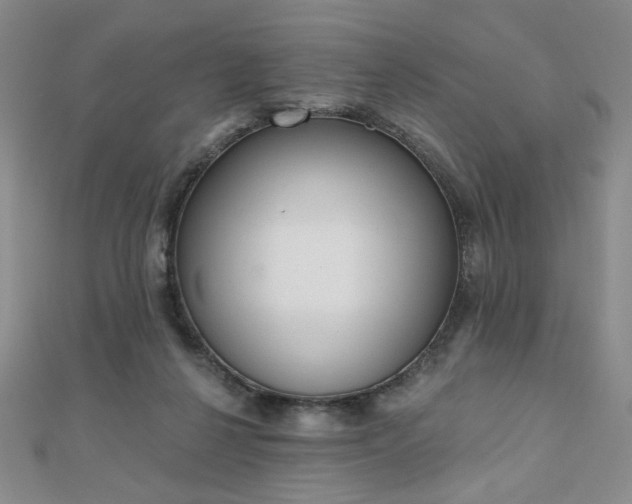 X0000110860264200906181147