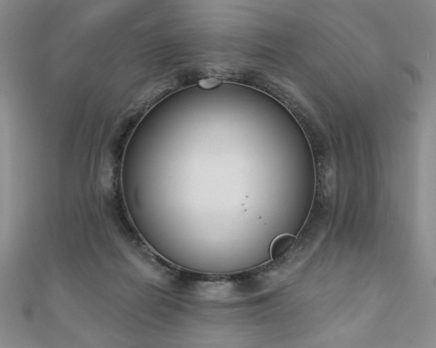 X0000110860266200906181147