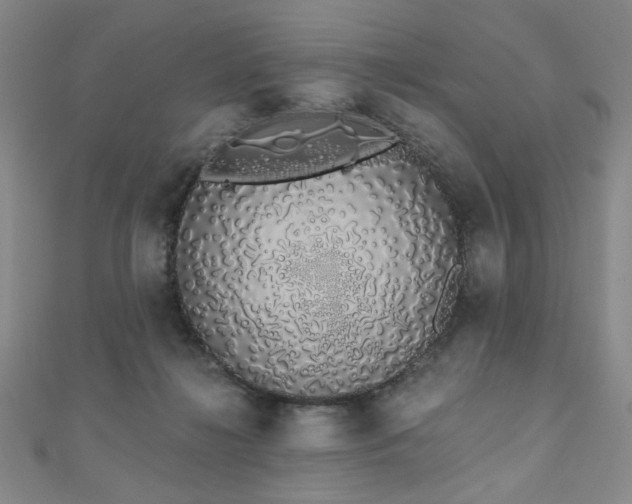 X0000110860268200906181147