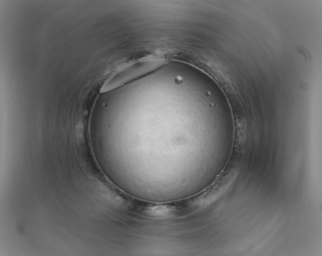 X0000110860269200906181147