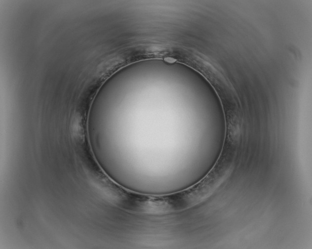 X0000110860270200906181147