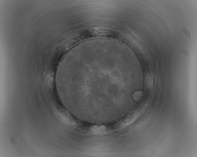 X0000110860271200906181147