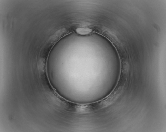 X0000110860273200906181147