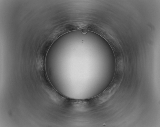 X0000110860274200906181147