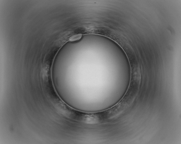X0000110860275200906181147