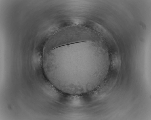 X0000110860276200906181147
