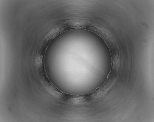 X0000110860278200906181147