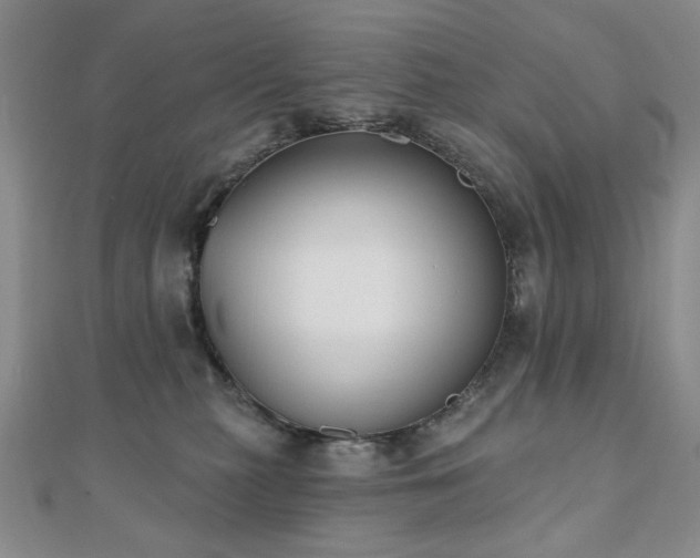 X0000110860279200906181147