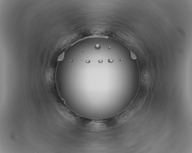 X0000110860280200906181147