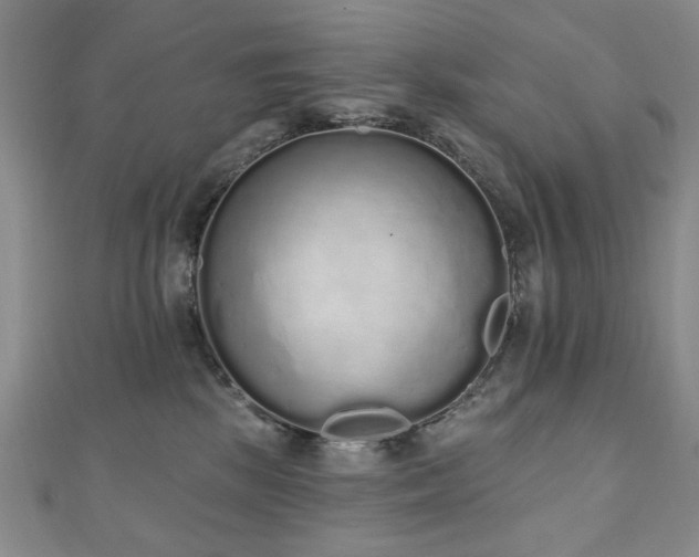 X0000110860281200906181147