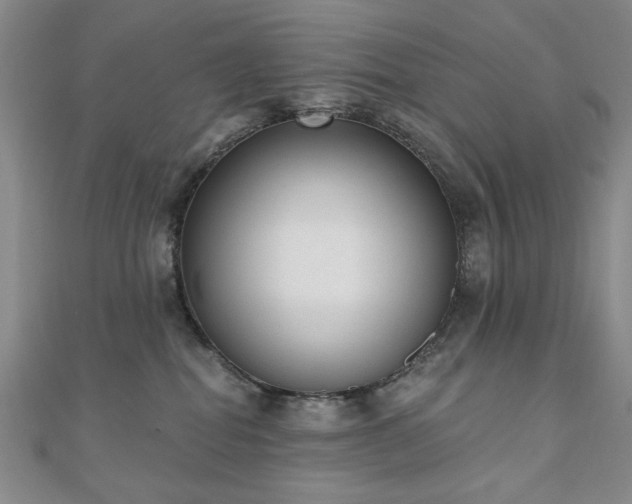 X0000110860282200906181147