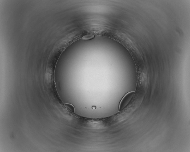 X0000110860283200906181147