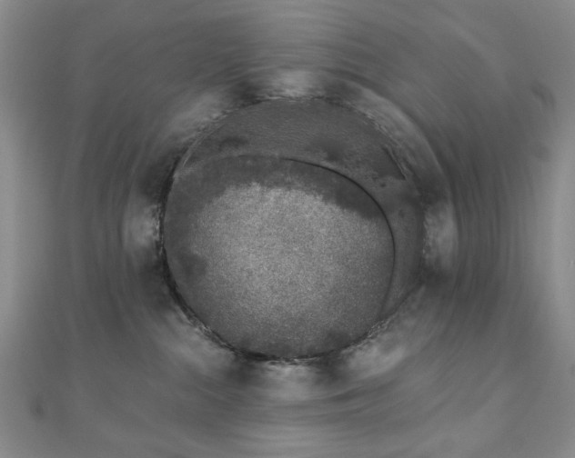 X0000110860284200906181148