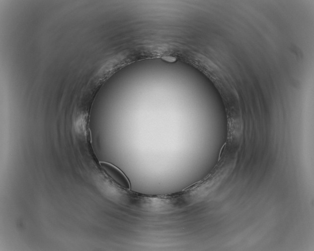 X0000110860286200906181148