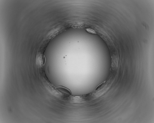 X0000110860287200906181148