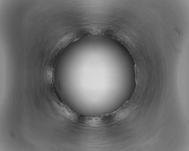 X0000110860288200906181148