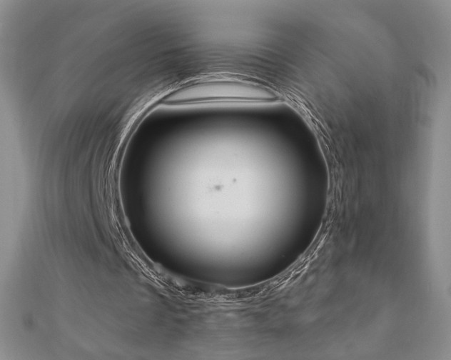 X0000110860289200906181147