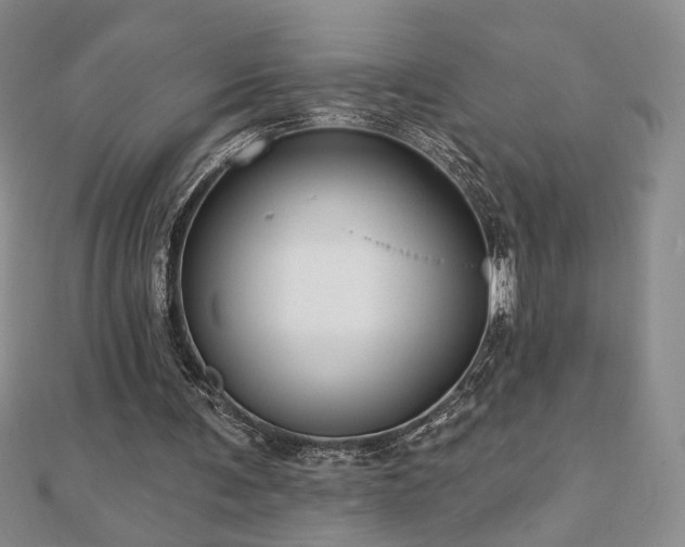 X0000110860291200906181147