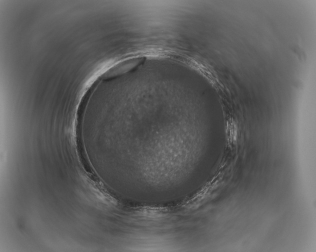 X0000110860292200906181147