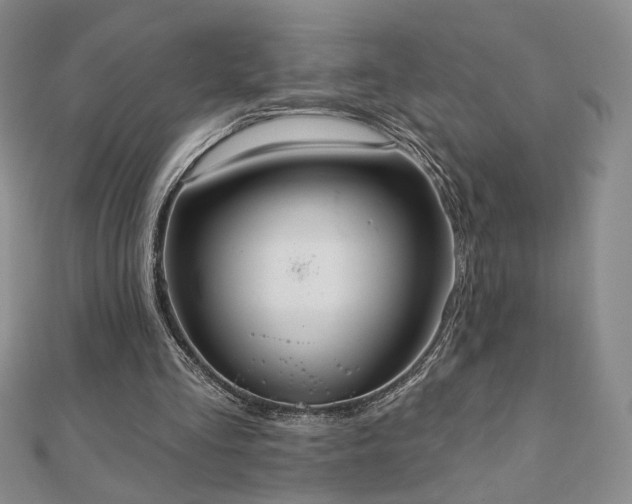 X0000110860293200906181147