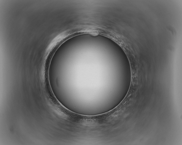 X0000110860296200906181147