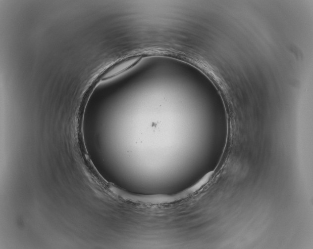 X0000110860297200906181147
