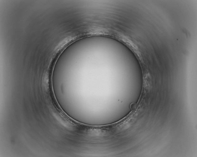 X0000110860298200906181147