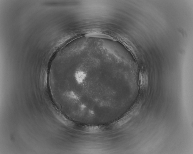 X0000110860301200906181147