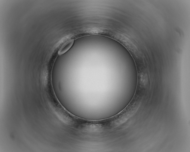 X0000110860304200906181147