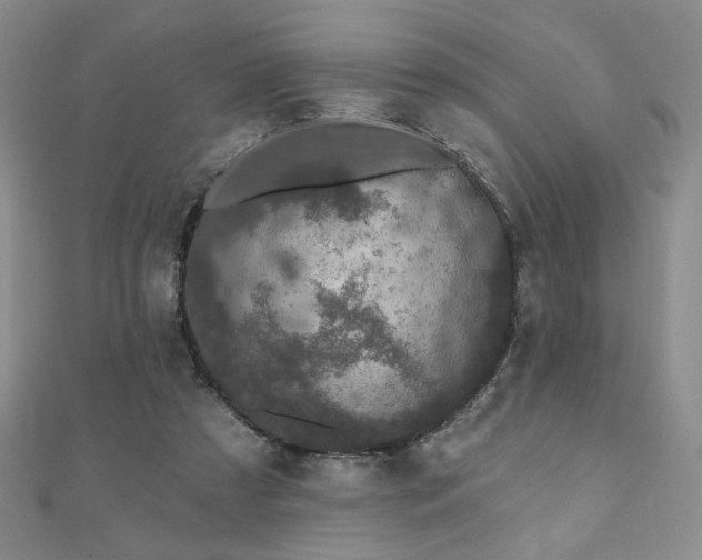 X0000110860305200906181147