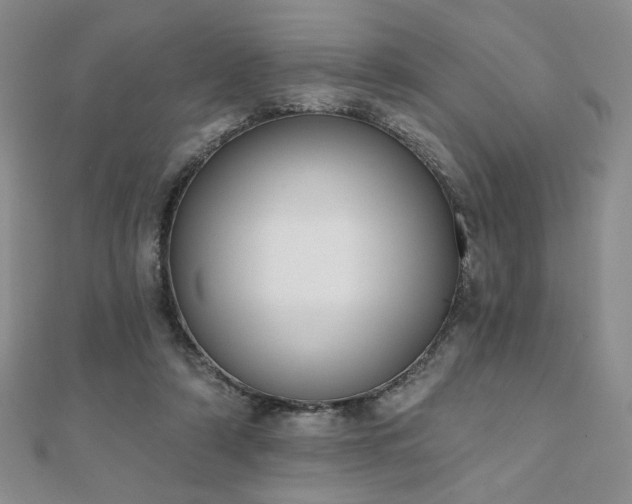 X0000110860306200906181147