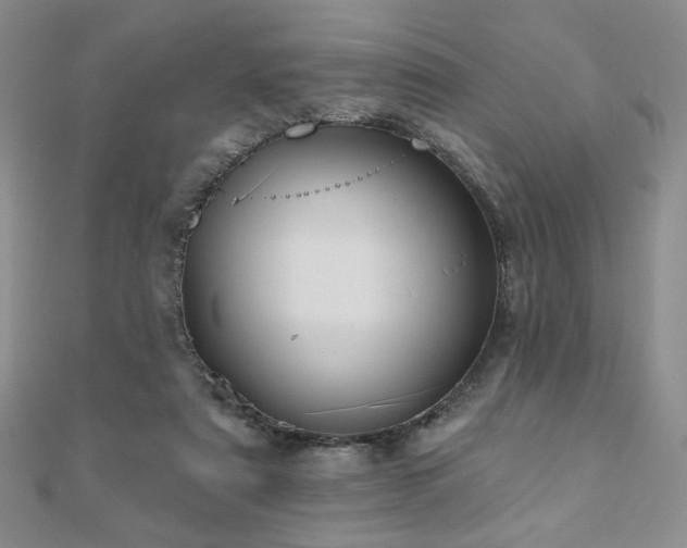 X0000110860307200906181147