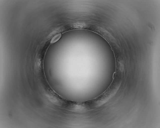 X0000110860308200906181147