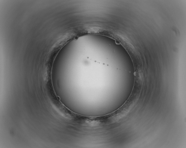 X0000110860311200906181147