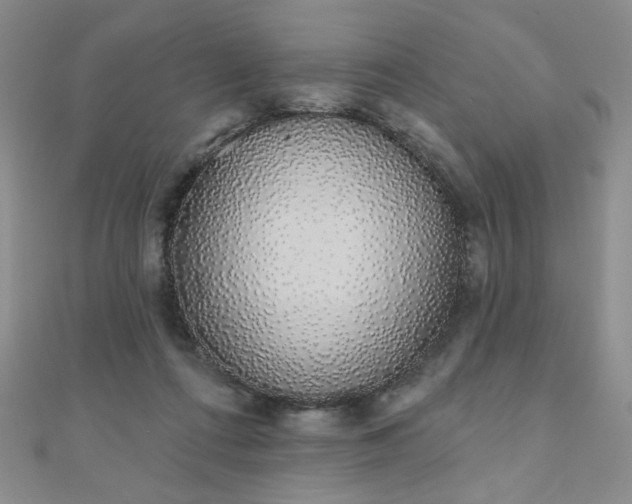 X0000110860312200906181147